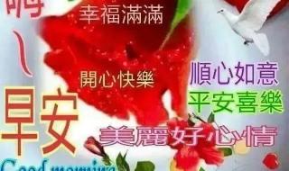 男生女生向前冲短信